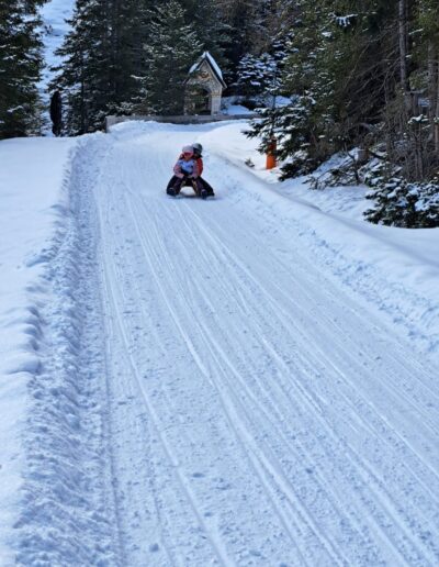 IMG-20250301-WA0006