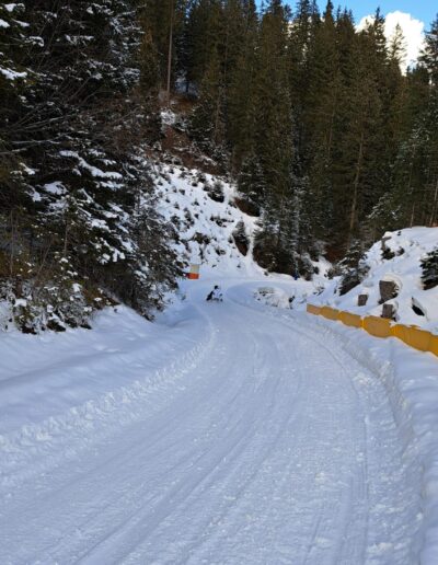 IMG-20250301-WA0016
