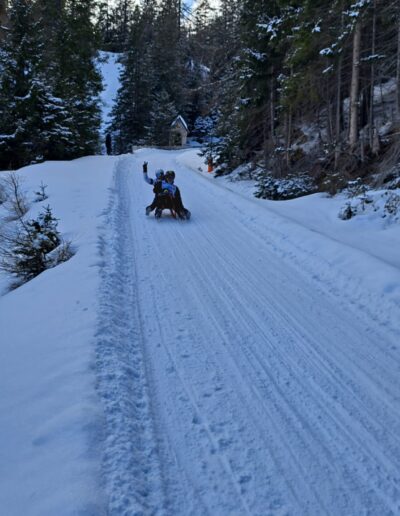 IMG-20250301-WA0017